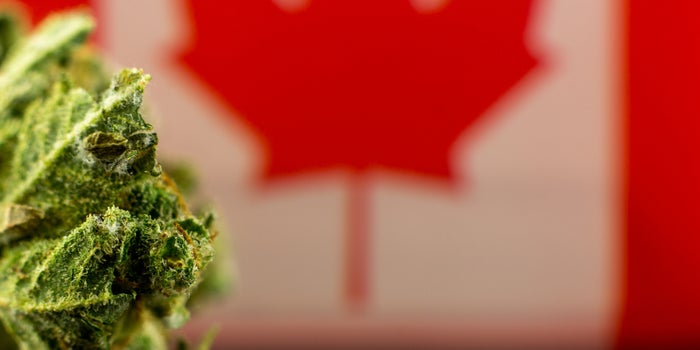 As Canada Enters Cannabis 2.0: A New Chance for Brands to Stand Out