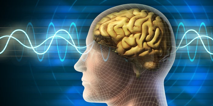 Neuralink Could Begin Testing Human Brain Implants This Year, Says Elon Musk