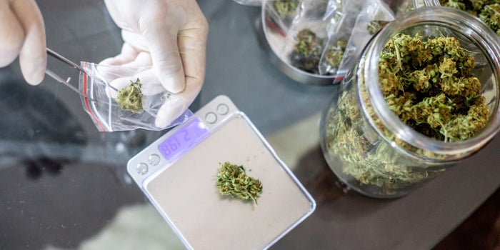 Cannabis Packages Adapt to Consumer Preference