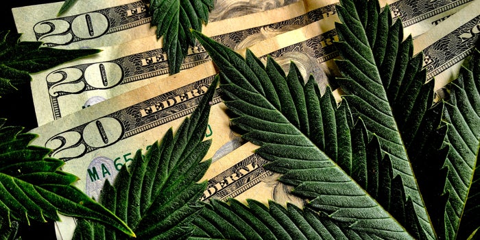 5 Things to Consider Before Investing in the Cannabis Market