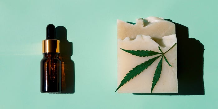 Hemp Seed Oil and Hemp Soap: Should You Try Them?