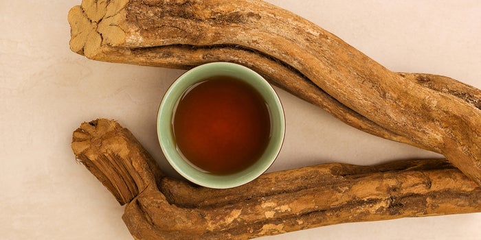 Ayahuasca Is Not Just for Tripping Out