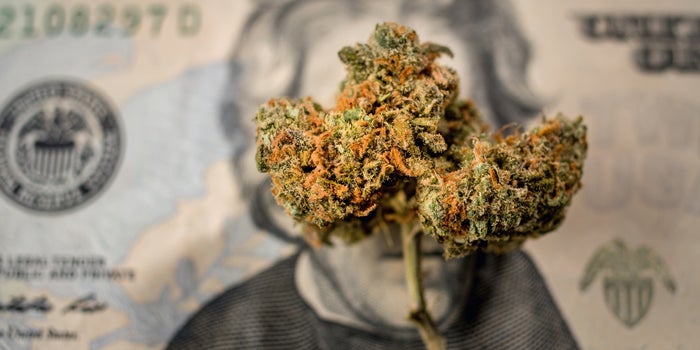 Financial Due Diligence in the Cannabis Space