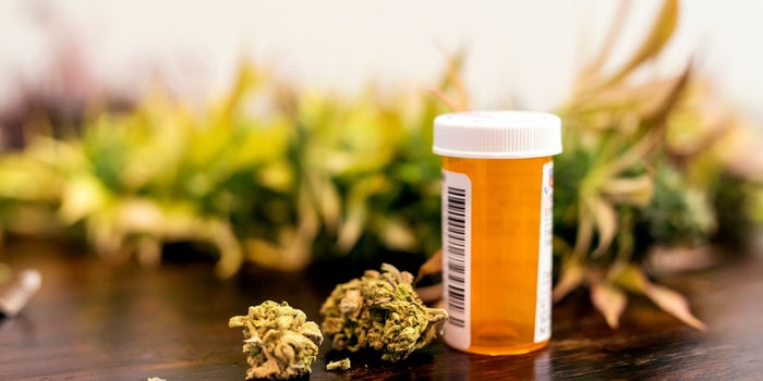 Dispelling the Negative Reputation of Medical Cannabis