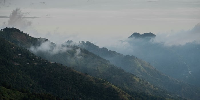 Jamaica's Emerging Cannabis Industry Hit Hard by Natural Disasters