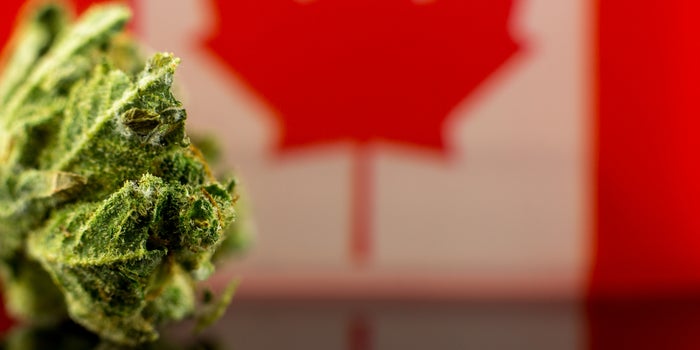 Canadian Cannabis Sales Skyrocketed 120 Percent in 2020