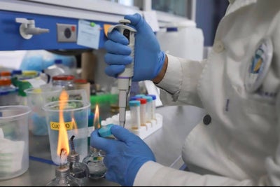 Progress in Covid-19 Vaccine Being Developed in Mexico