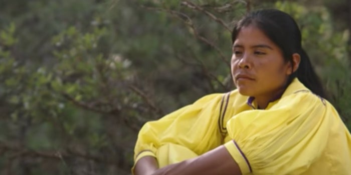 Commemorate International Women's Day With These Incredible Female Heroes on Netflix