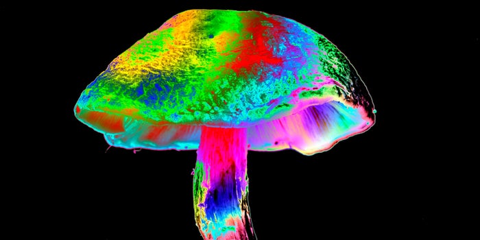 Jade Ullmann Is Bridging Together Psychedelic Communities
