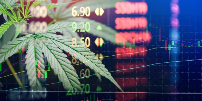 Inversiones en empresas de cannabis: Lo que tienes que saber para este 2021