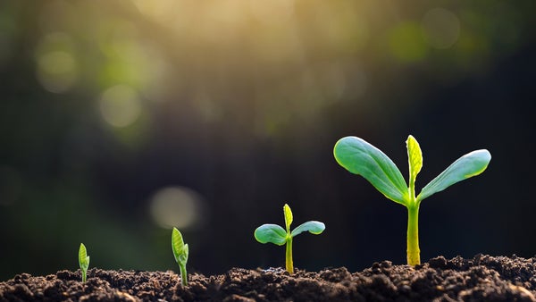 The Only Way to Grow Is to Get Started