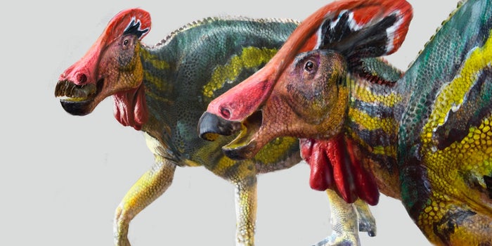 Mexican archaeologists find new species of 'talking dinosaurs'
