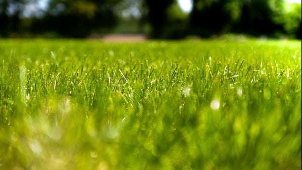 This New Smart Sprinkler 'Prints' Water — and Investors Are Noticing