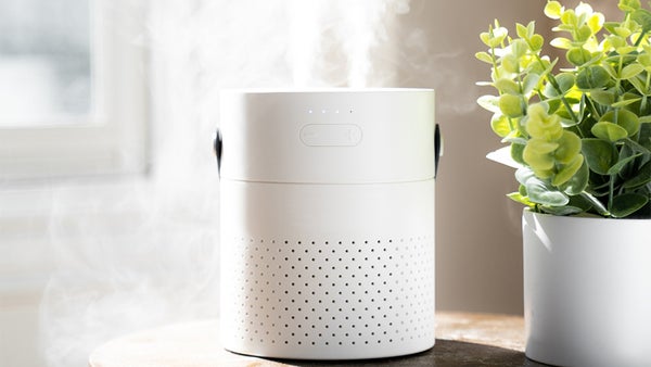 Beat the Dry Summer Air With This Home Office Humidifier, on Sale Today