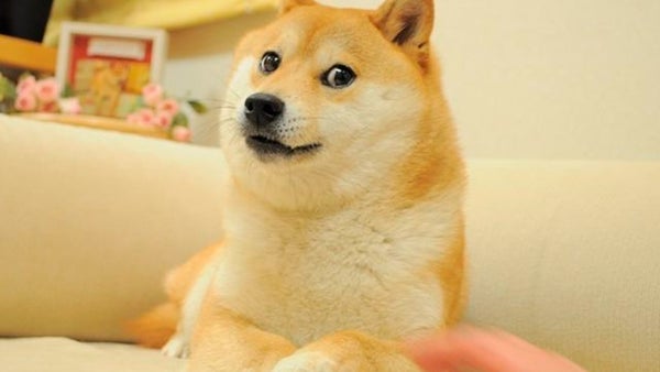 'Doge' NFT Sells for $4 Million, Becoming the Most Expensive Meme NFT Ever