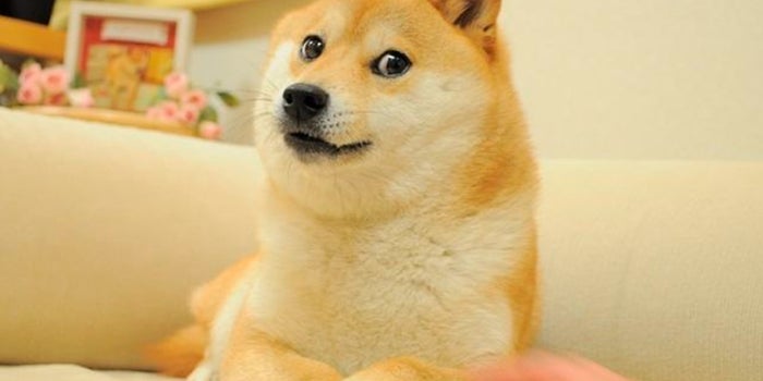 1623694949-Jun14MemeDogerompercordvendid