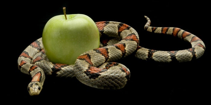 The 10 temptations you should not fall into as a leader