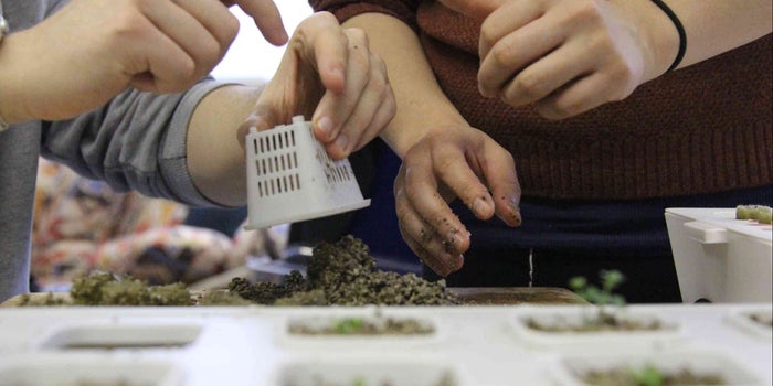 Will Hydroponics Scale In India?