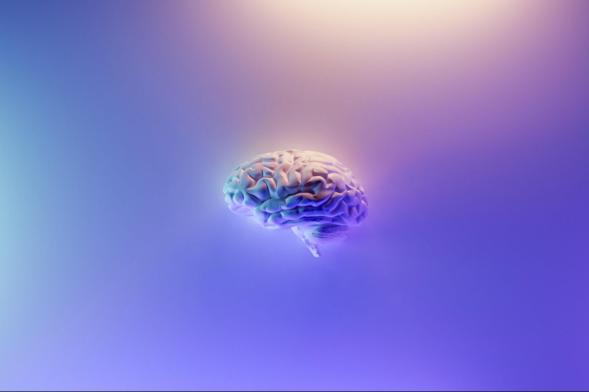 Image showcasing Improve Your Cognitive Health with This Brain Training Bundle ...