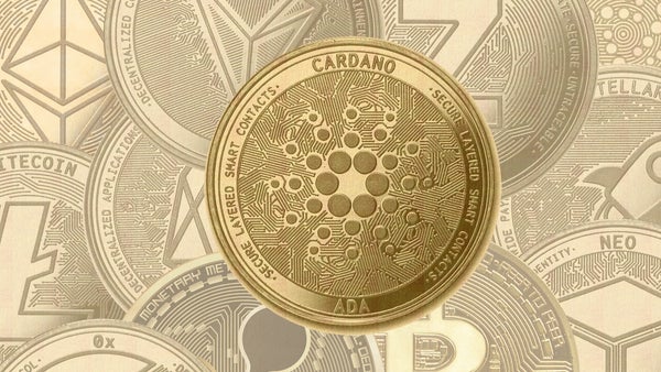 Cardano, the cryptocurrency that could become the most valuable in the cyber world