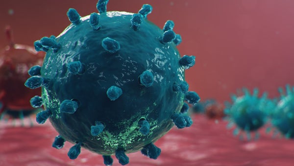 What is C.1.2, the new variant of COVID in South Africa?