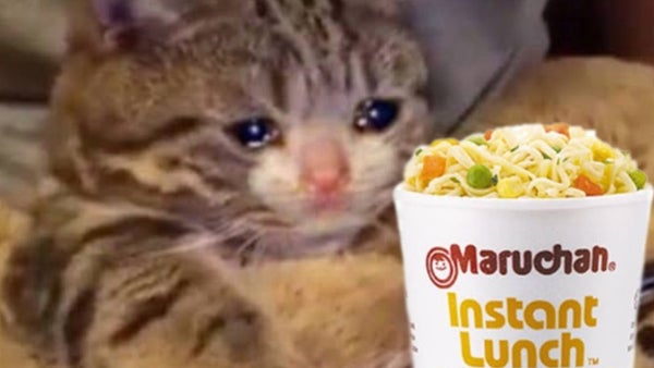 Profeco warns that it could withdraw Maruchan-type soups and the internet responds with memes