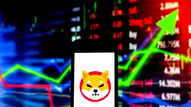 Shiba Inu Coin Price Soars to Record High After Robinhood Petition