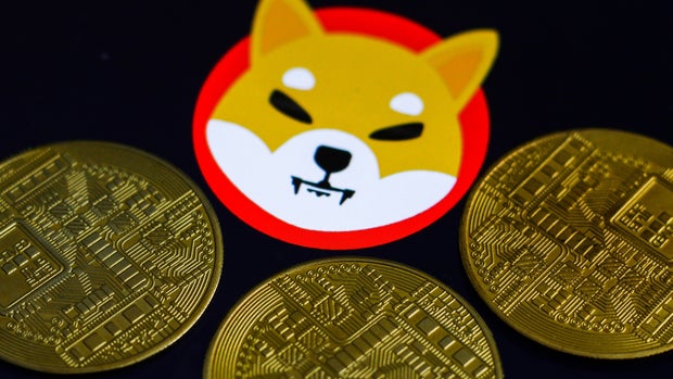 'The Greatest Trade of All Time': $13,000 Worth of Shiba Inu Coin Bought Last Year Now Worth $5 Billion