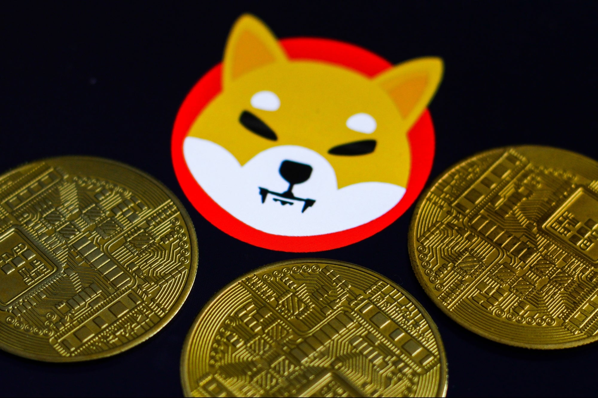  The Greatest Trade Of All Time 13 000 Worth Of Shiba Inu Coin 