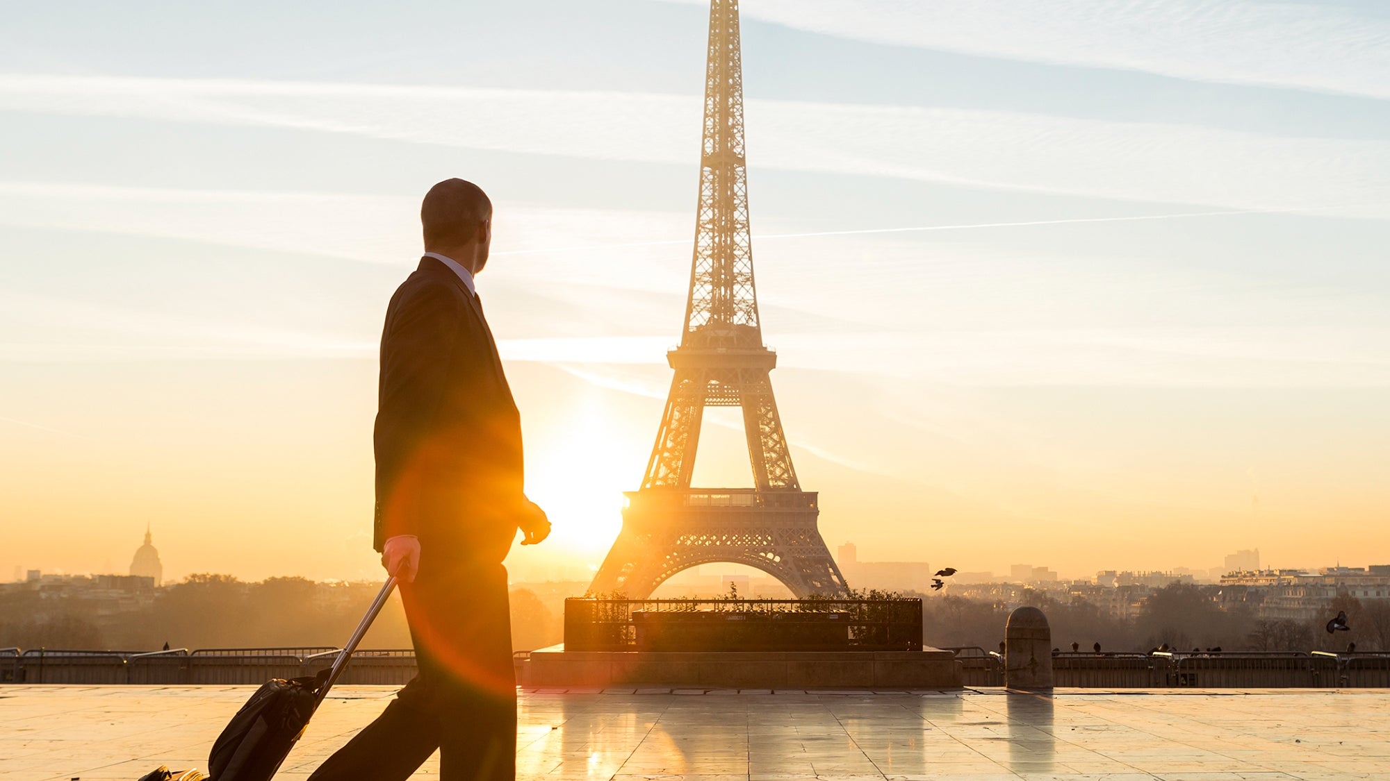 Get Travel Rewards Fast with the World of Hyatt Business Credit Card