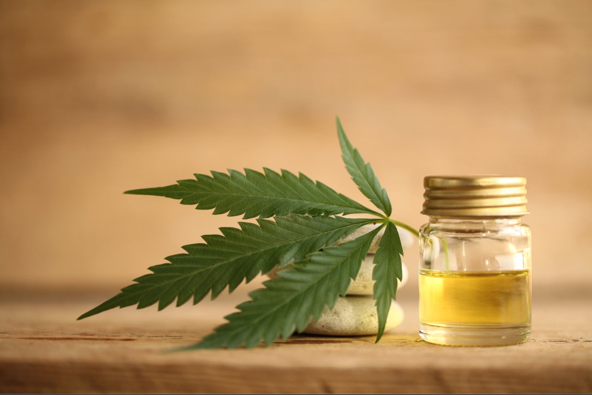 6 Reasons Pro Athletes Believe CBD Gives Them an Edge 6 Reasons Pro Athletes Believe CBD Gives Them an Edge