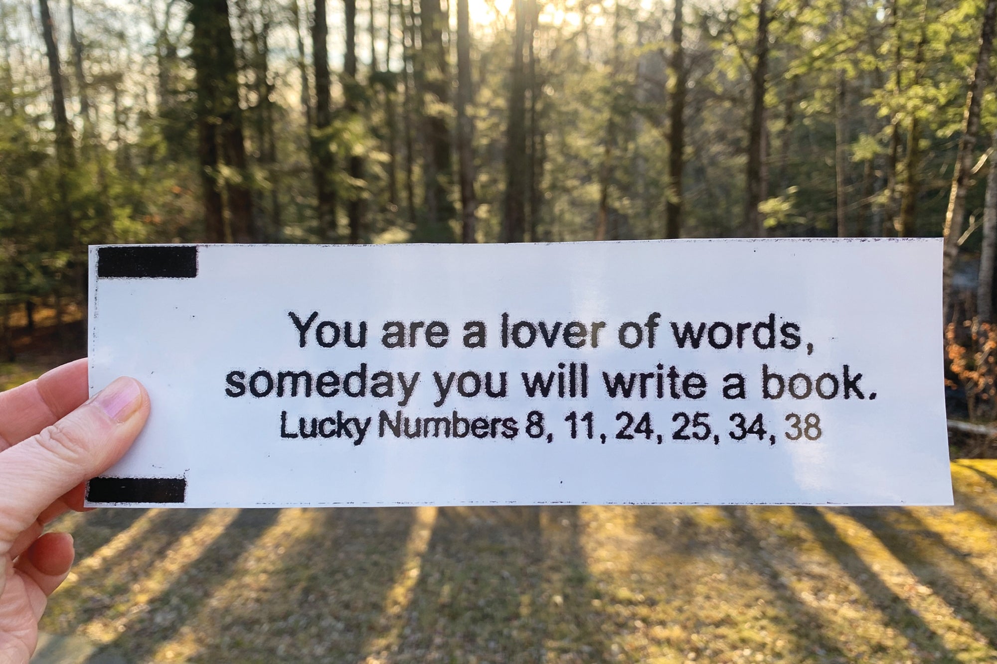 This Fortune Cookie Told Me I Would Be a Writer, But Its Meaning Has