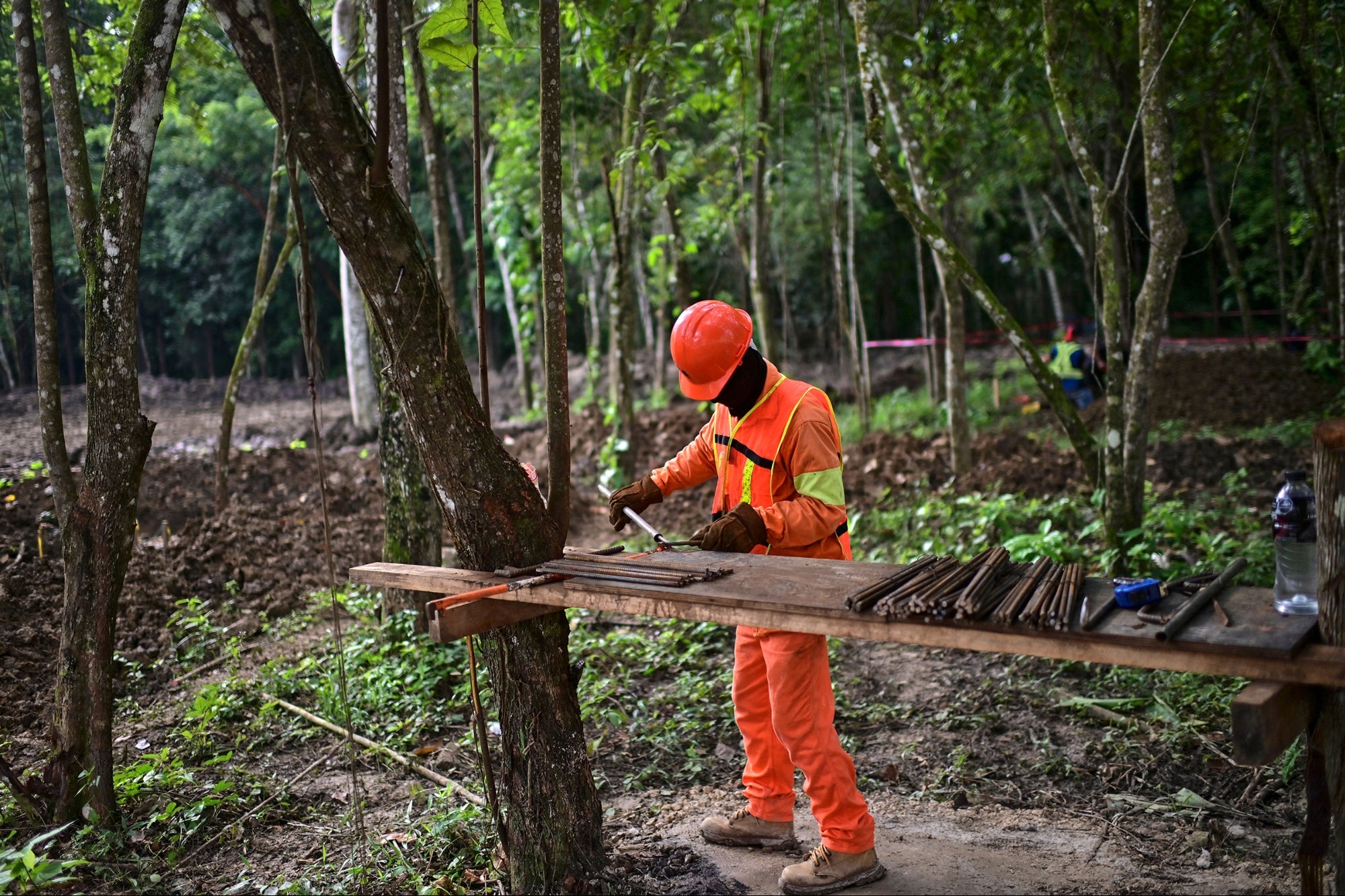 A Yucatan judge orders the temporary suspension of section five of the