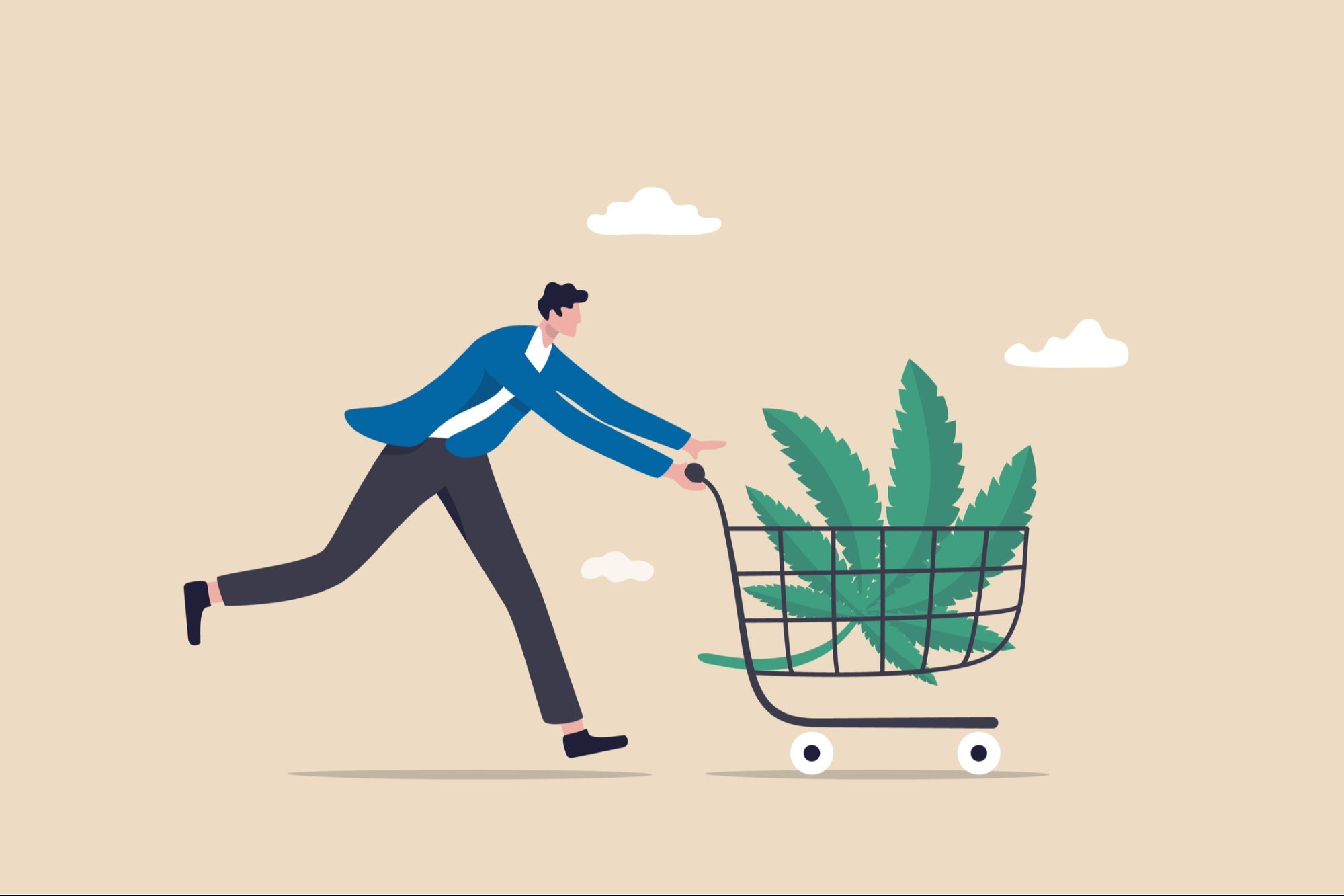 Image of post: Can You Buy Legal Weed If You're Under 21?