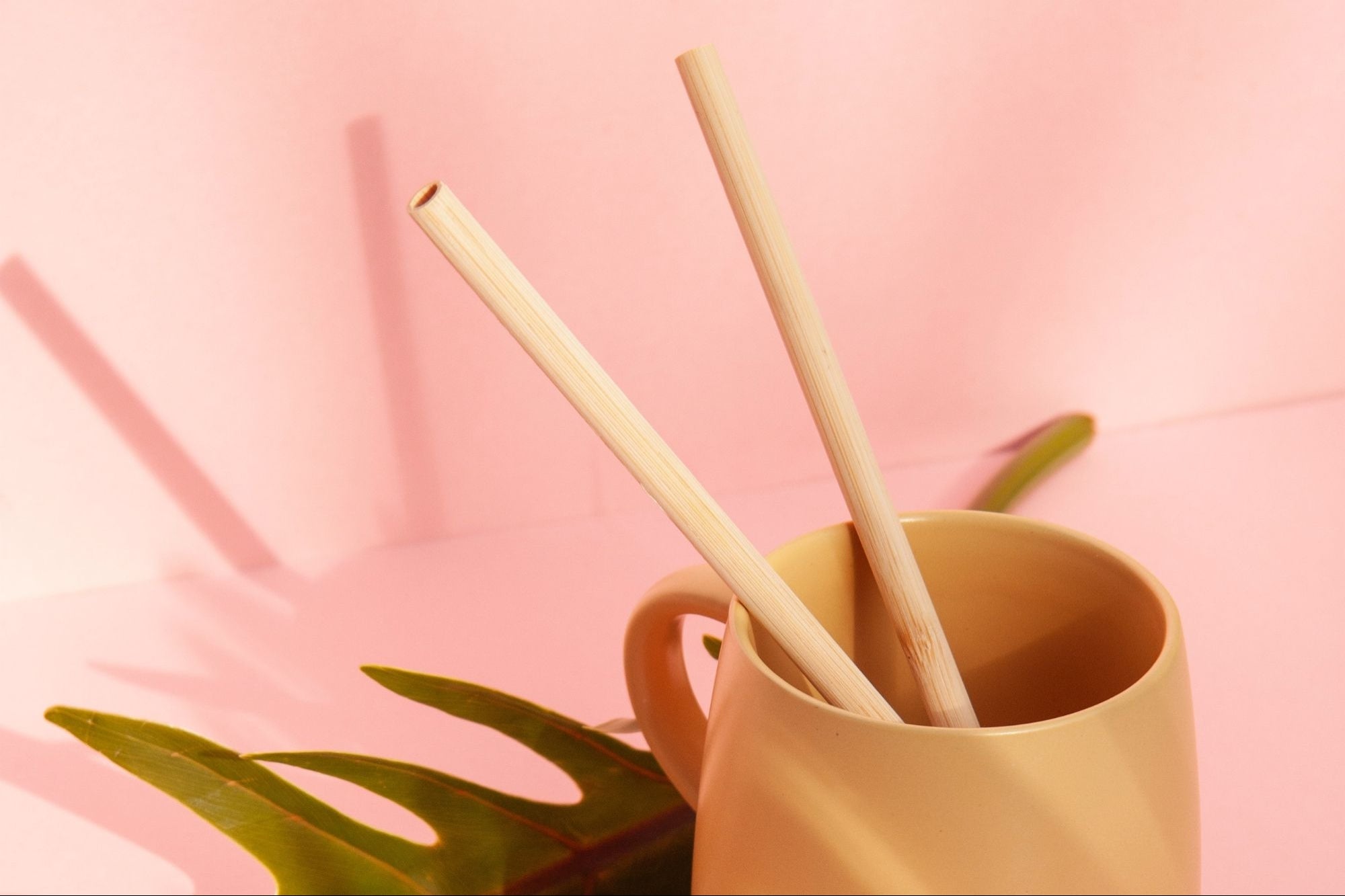 Plastic Straw Ban Can Bamboo Straws Be an Alternative? Entrepreneur