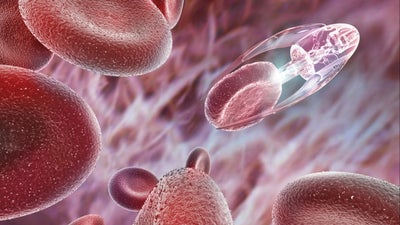 The Future of Nanotech, the World's Tiniest Industry