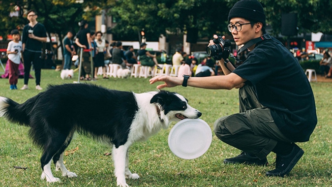 Be taught Methods to Prepare Your Canine with Assist From 8 On-line Programs Be taught Methods to Prepare Your Canine with Assist From 8 On-line Programs