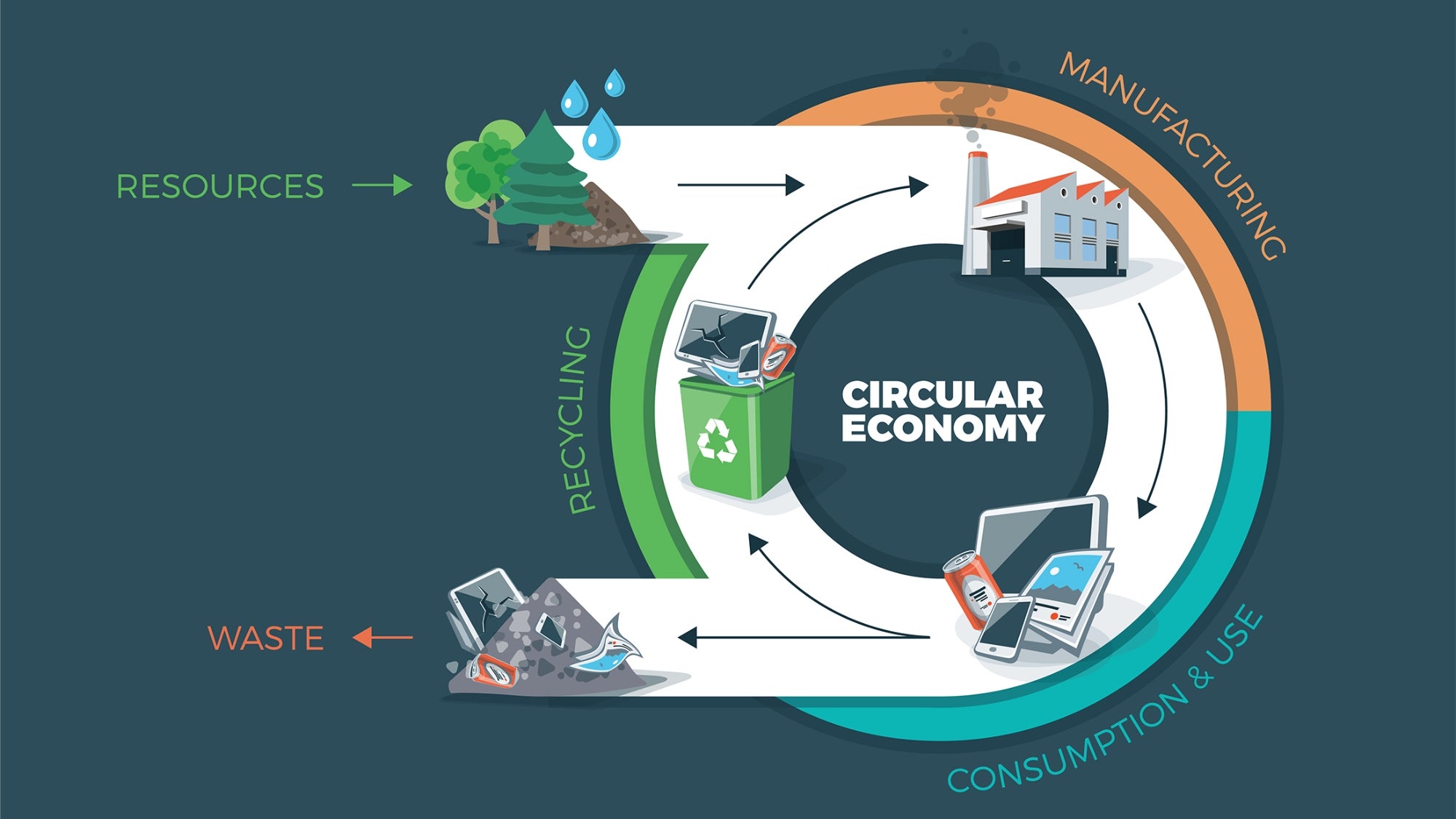 Practical Tips for Consumers