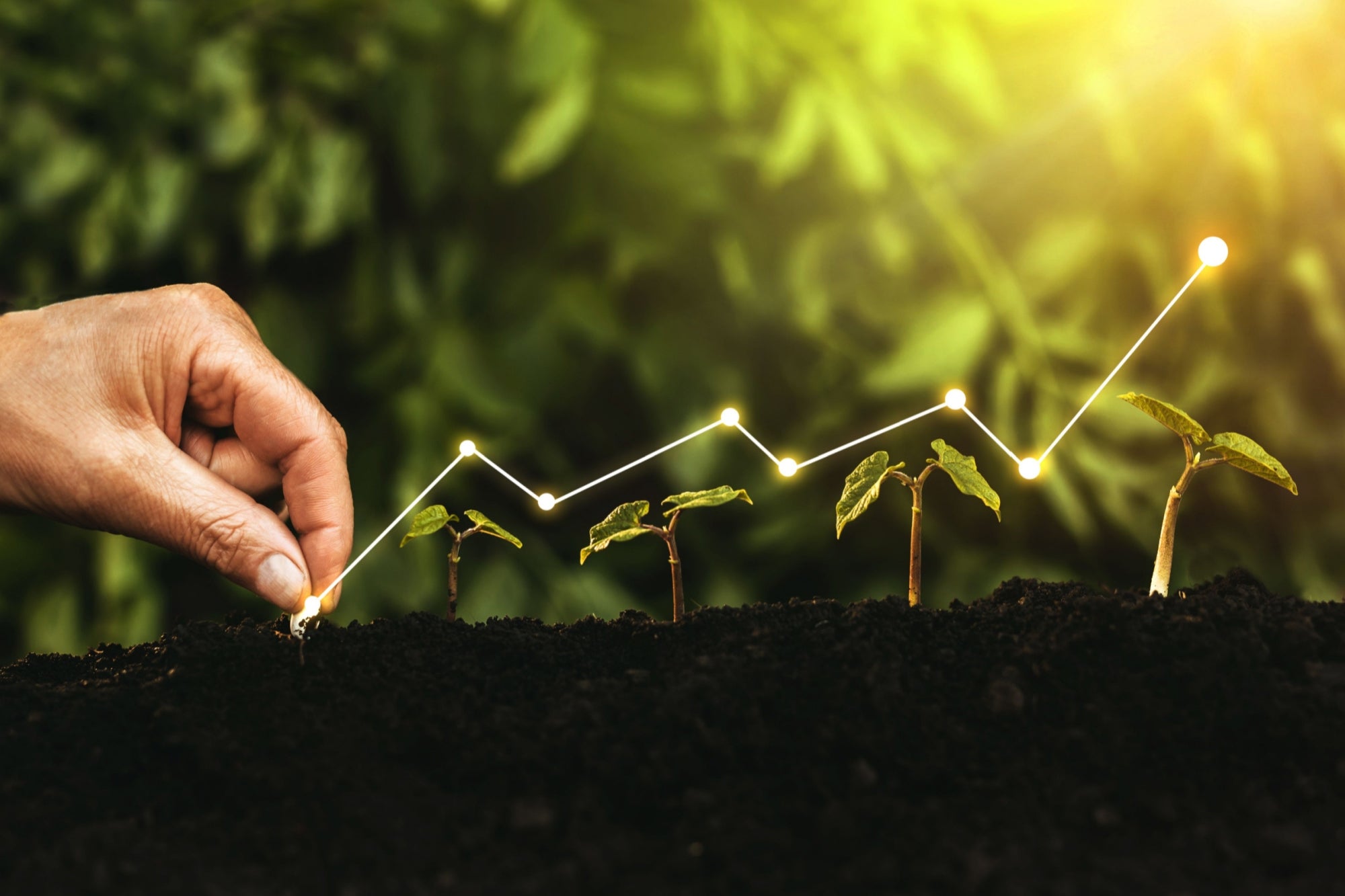 Sustainable Finance: Here’s How Startups Can Excel In The Emerging Green Economy Of The UAE And The GCC Region