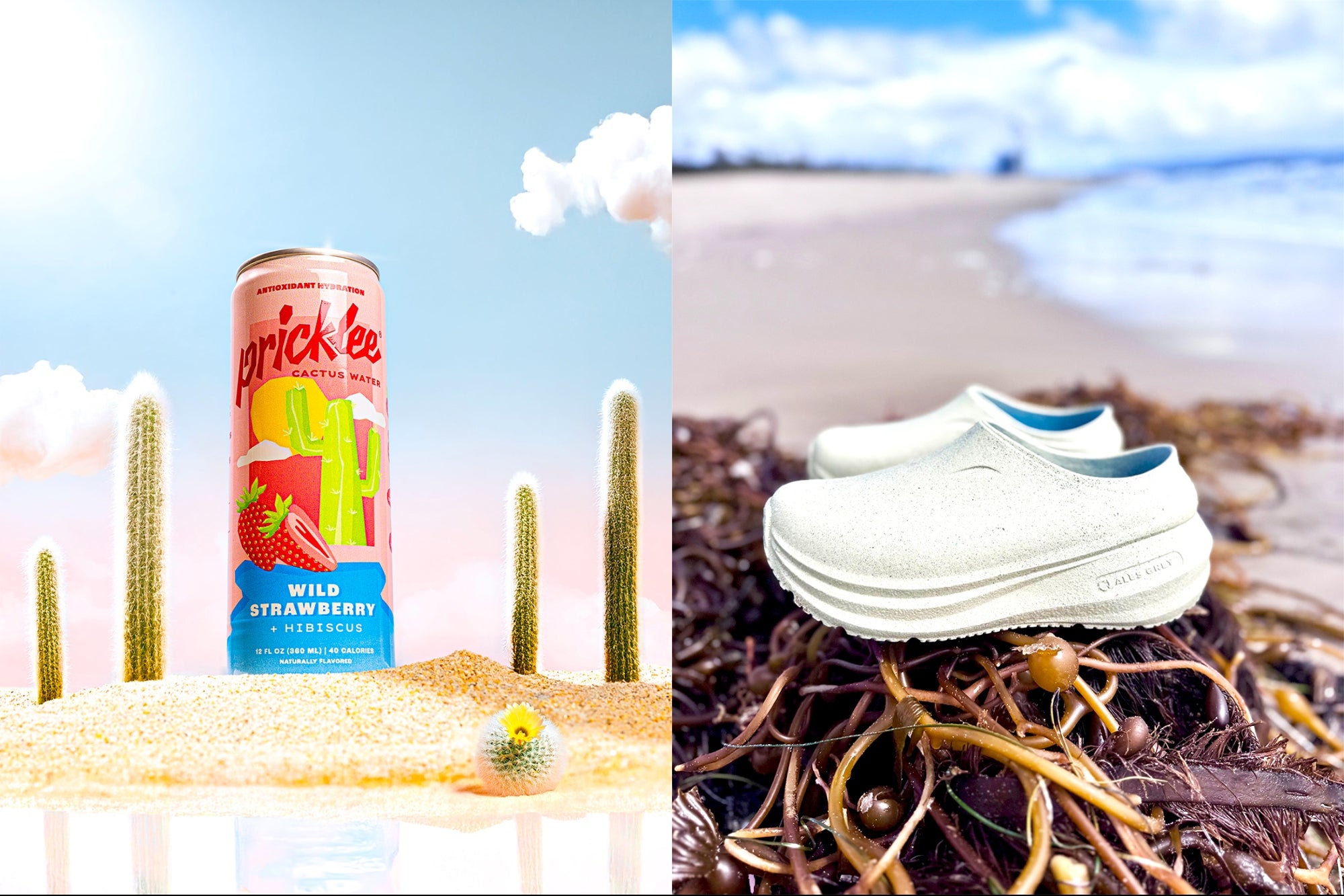 Hydrate Naturally, Walk Lighter: How Two Founders Are Scaling Bold Visions ...