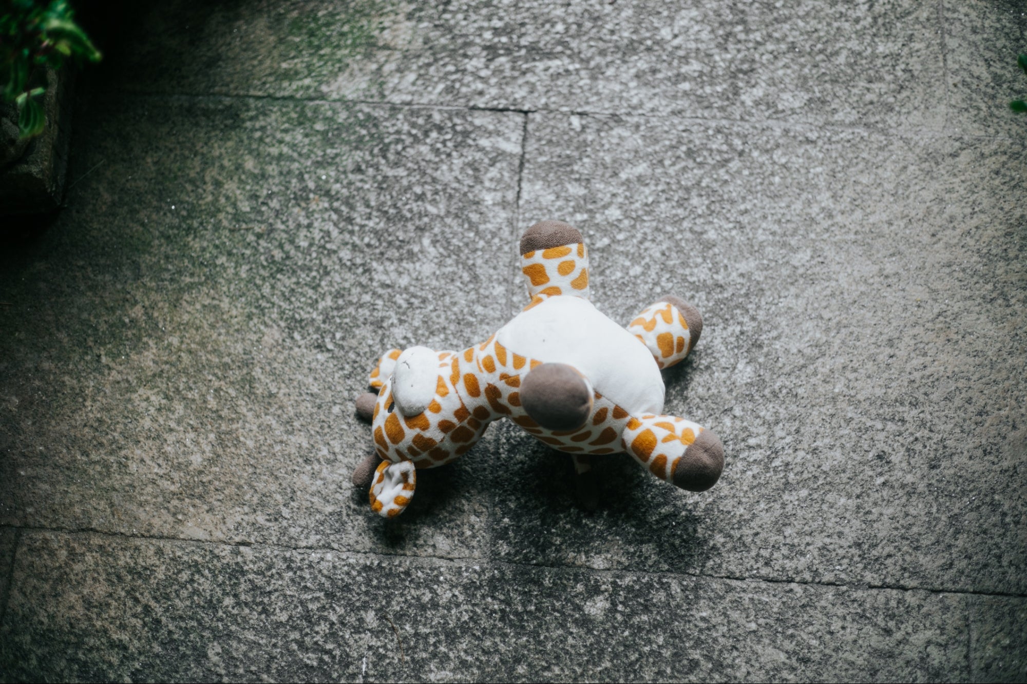 From a Stuffed Giraffe to $3.7 Trillion Lost — Here are 5 Steps to Better Customer Service
