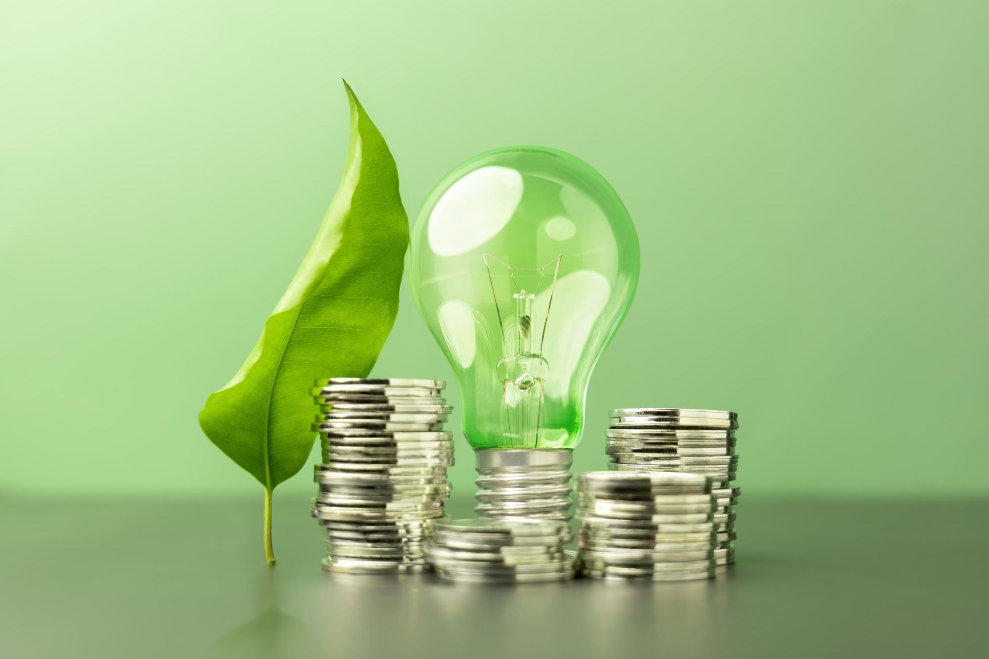 Paying Attention | Entrepreneur