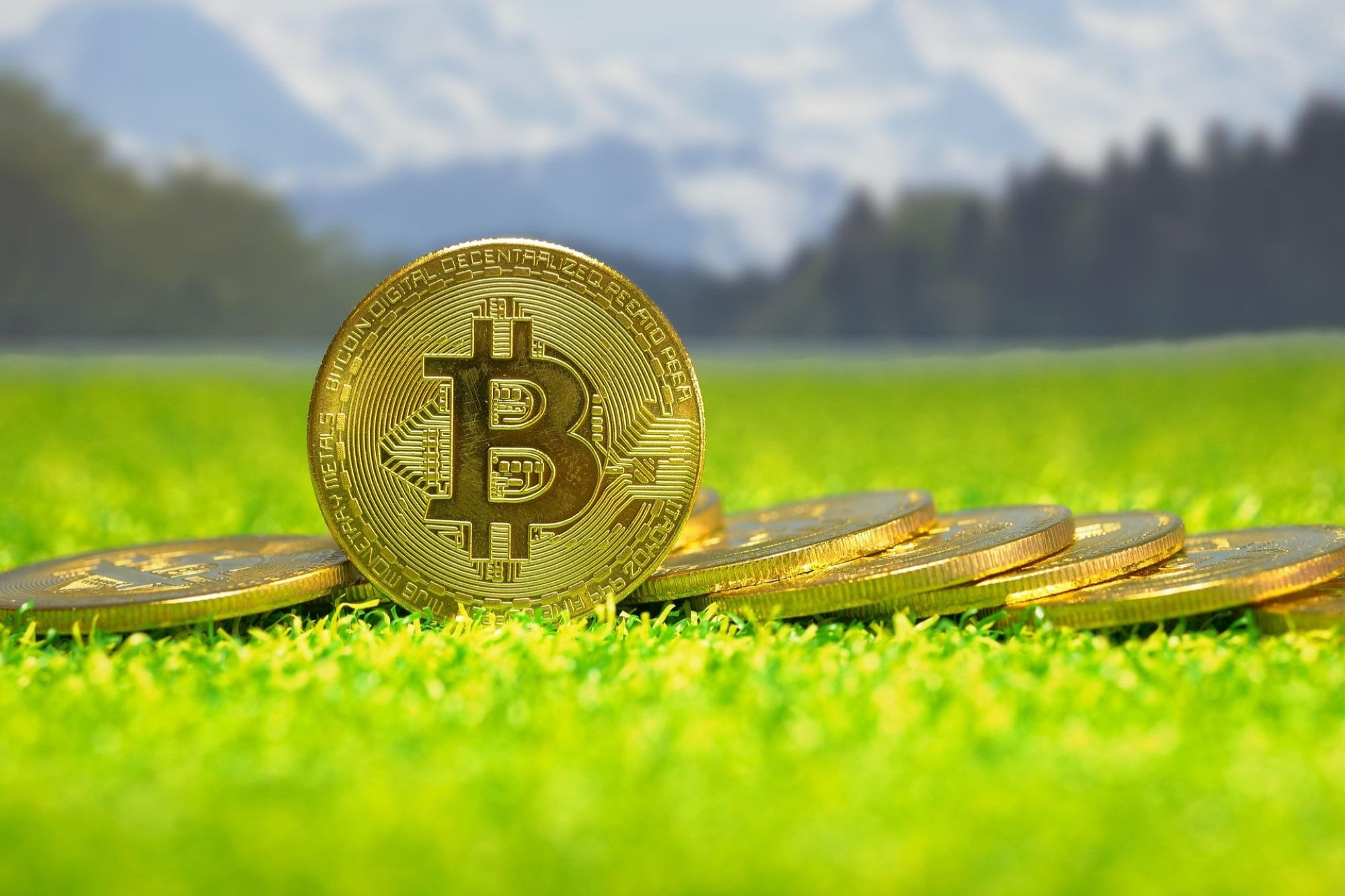 India's Tightened Crypto Norms: Push To Align Financial Integrity with ...