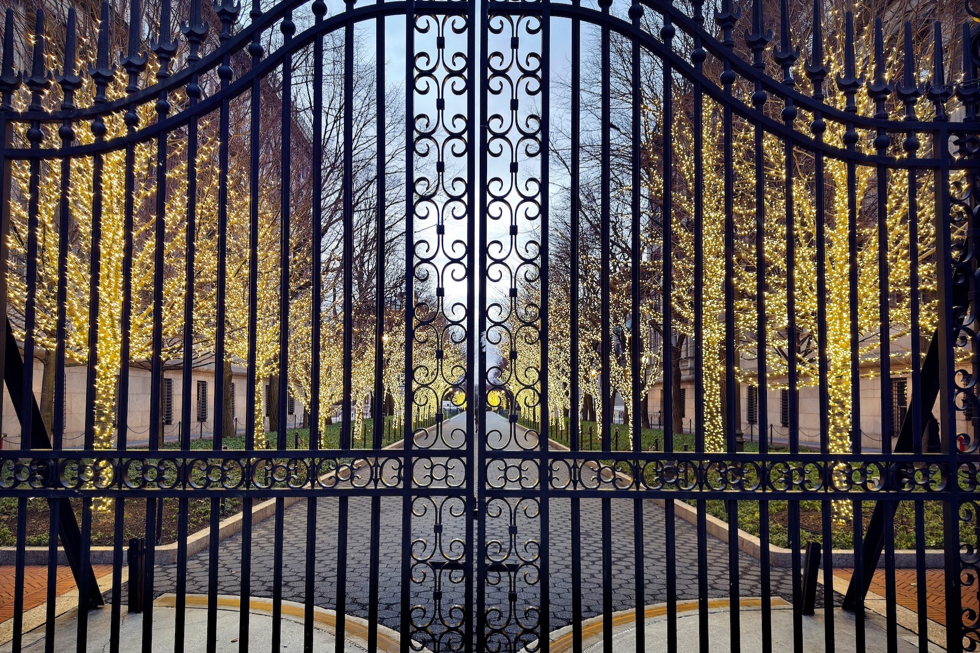 The Ultra-Rich Are Turning Their Homes Into Fortresses: ‘Moats, Bunkers, and $175,000 Guard Dogs’