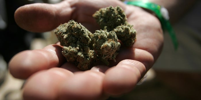 How Companies Are Trying to Bring Marijuana Ads Online