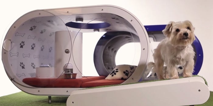 For $30K, Your Dog Could Have a House With a Hot Tub