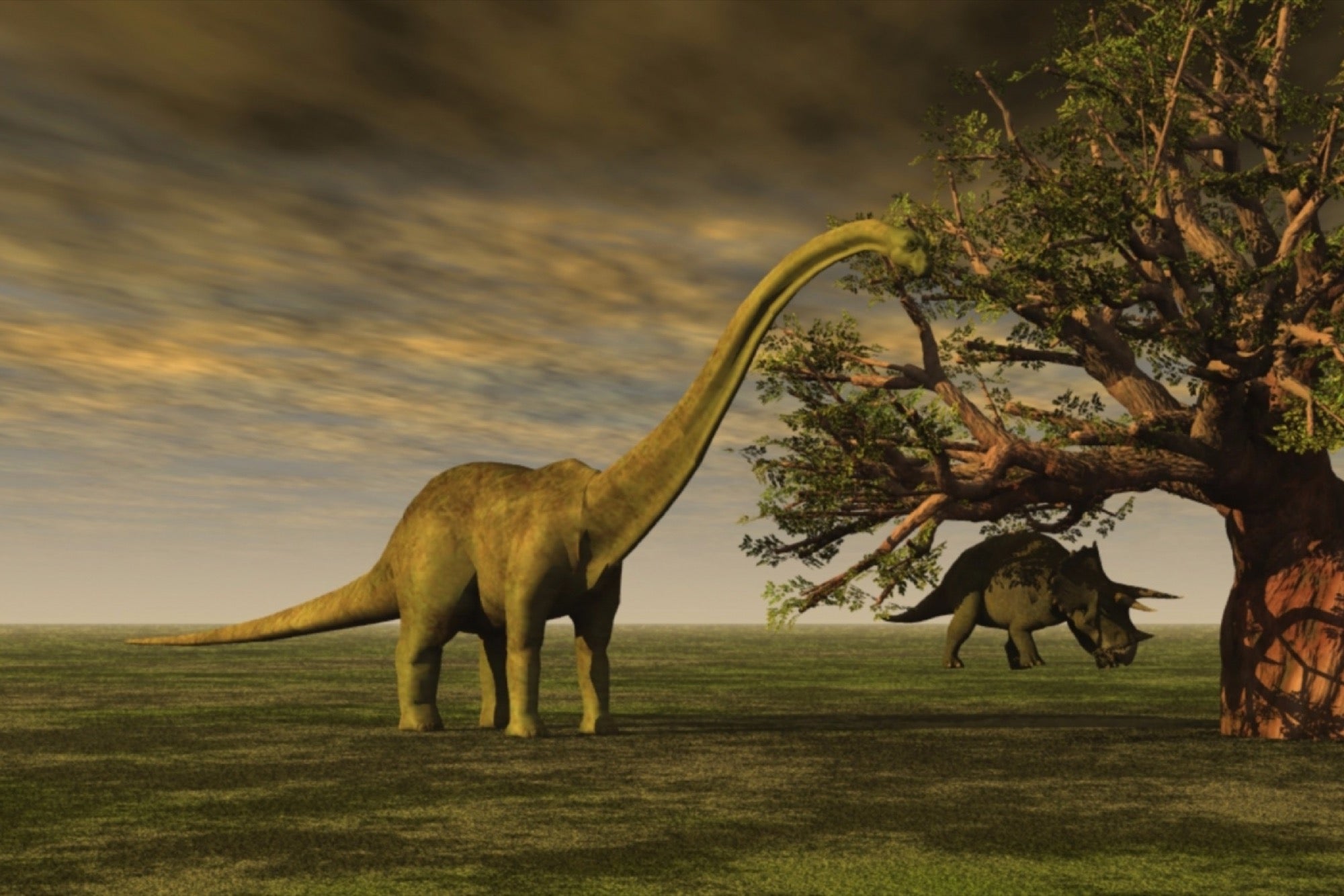 brontosaurus prehistoric recreate extinct