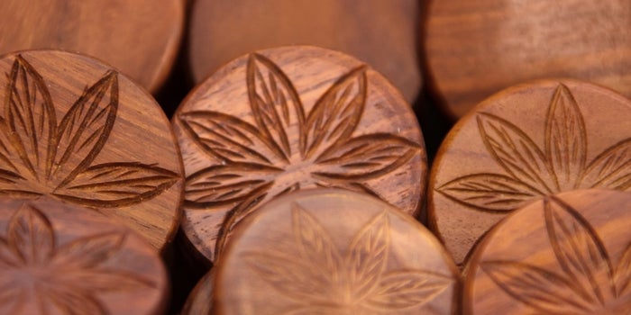 This Incubator Is Helping Cannabis Businesses Blaze a Trail Forward in a Budding Industry