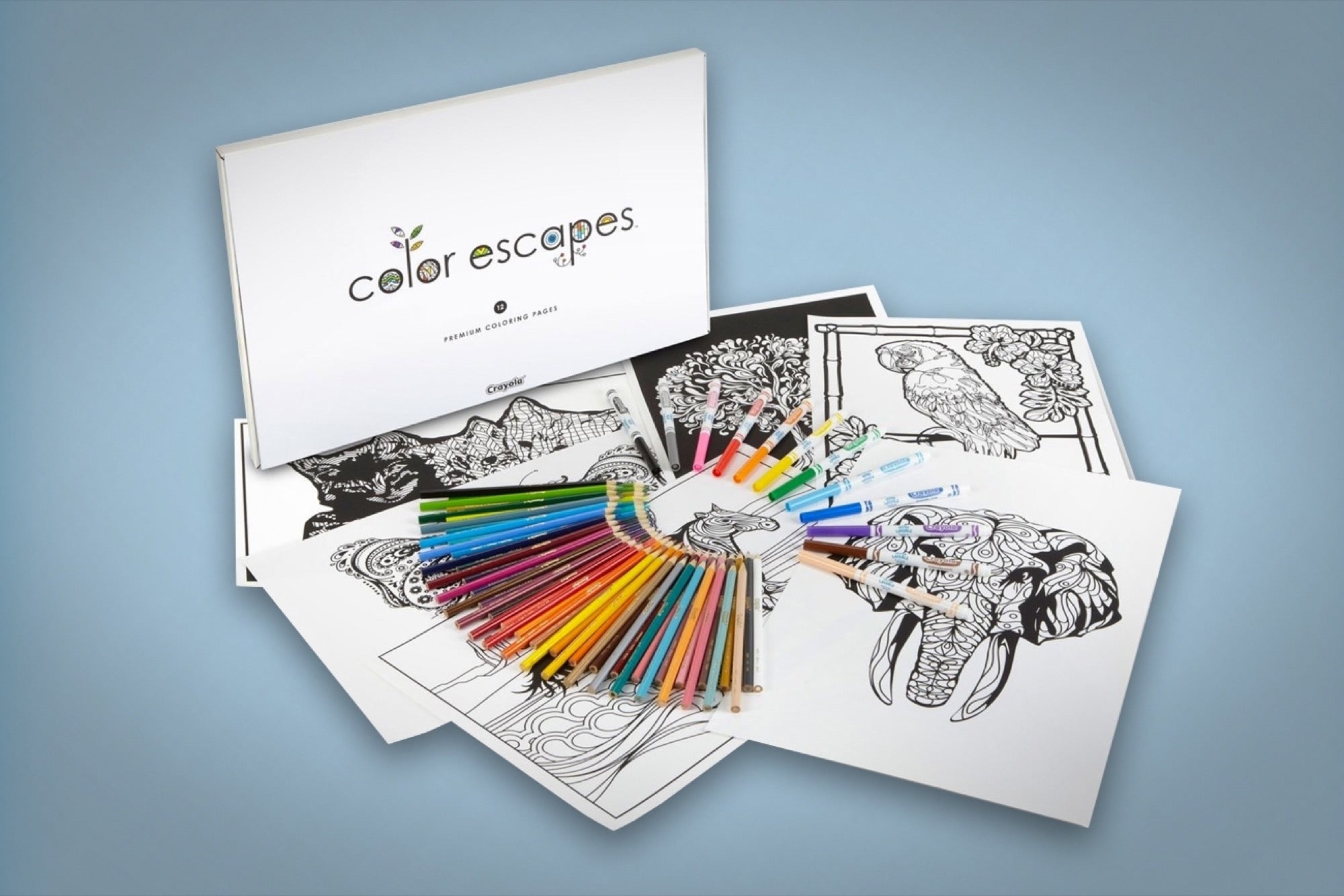 Crayola joins adult coloring book craze