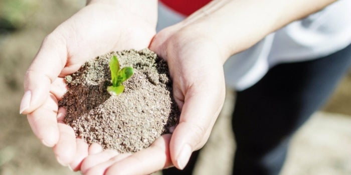 ¿Eres emprendedor social? UBS y Ashoka te buscan